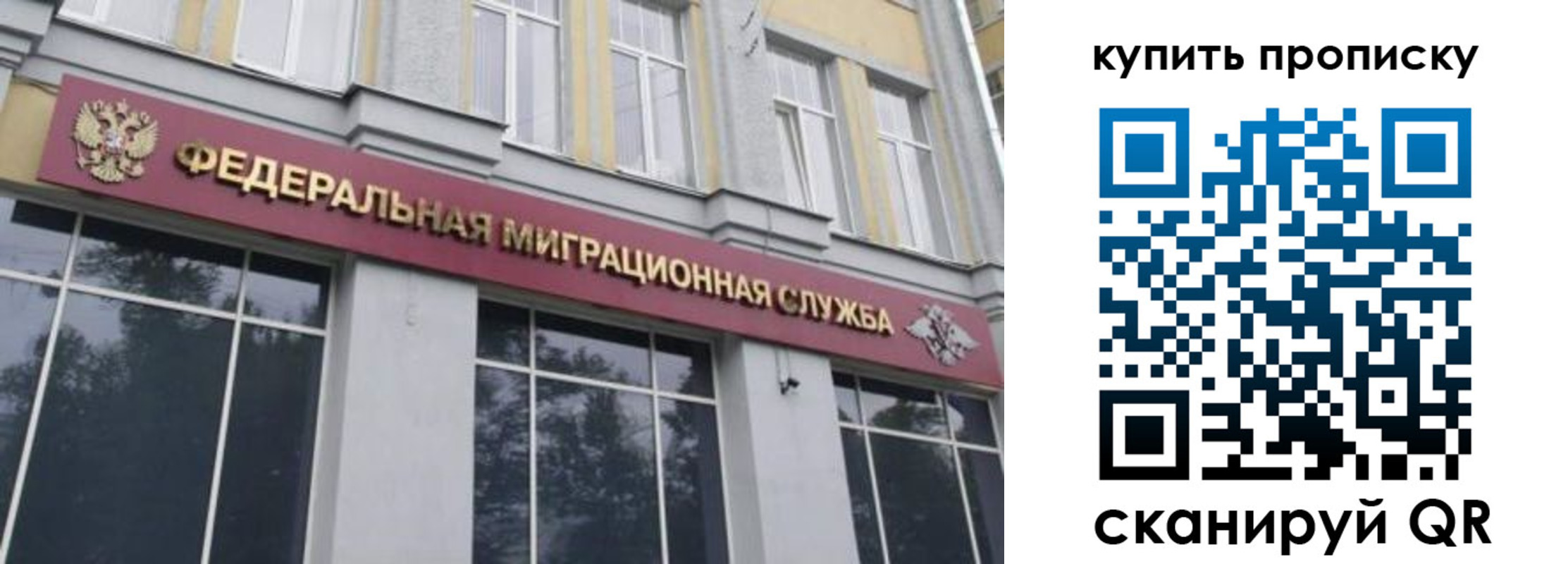 прописка поиск в Струнино